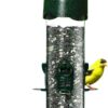 Brome Mega 600 Wild Bird Feeder, w/Extendable Seed Ports, 4lbs Seed Capacity, Durable, Easy-to-Clean