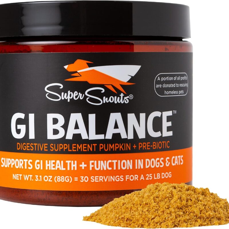 Super Snouts GI Balance 3.1 oz